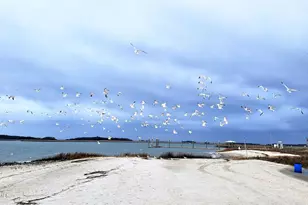 1213 16th St, Port Royal, SC 29935 - Photo 37