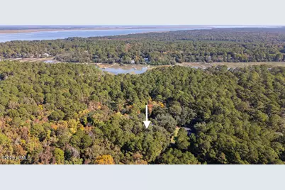 14 Maggie Lawton Lane, Lady's Island, SC 29907 - Photo 3