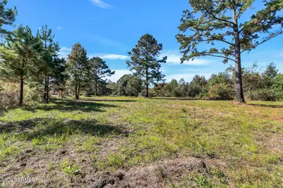 782 Strawberry Hill Road, Ridgeland, SC 29936 - Photo 3