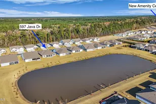 597 Java Dr, Bluffton, SC 29909 - Photo 51