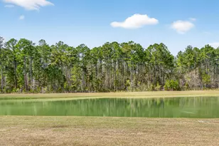 1393 Parrot Ave, Hardeeville, SC 29927 - Photo 57