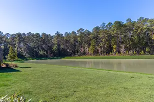 1393 Parrot Ave, Hardeeville, SC 29927 - Photo 55