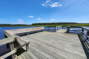 191 Chicora Ln, Yemassee, SC 29945 - Photo 73