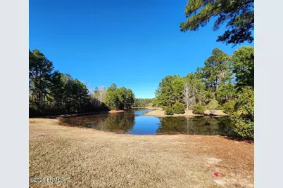 191 Chicora Lane, Yemassee, SC 29945 - Photo 63