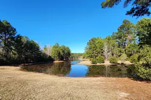 191 Chicora Ln, Yemassee, SC 29945 - Photo 67