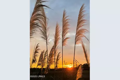 8 Battery Point Lane, Beaufort, SC 29902 - Photo 61