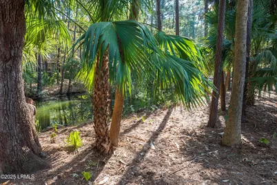 67 Osprey Circle, Okatie, SC 29909 - Photo 51