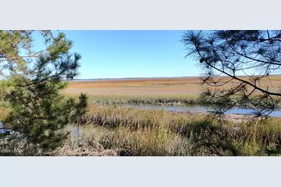 2 Black Skimmer Court, Beaufort, SC 29907 - Photo 7