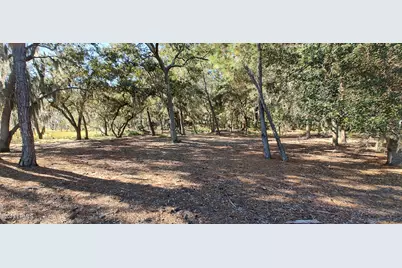 2 Black Skimmer Court, Beaufort, SC 29907 - Photo 13