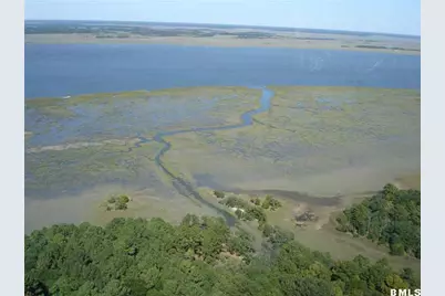 2 Black Skimmer Court, Beaufort, SC 29907 - Photo 1