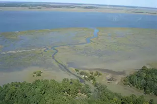 2 Black Skimmer Ct, Beaufort, SC 29907 - Photo 1