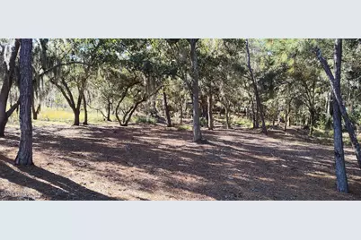 2 Black Skimmer Court, Beaufort, SC 29907 - Photo 5