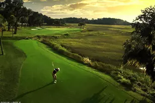 459 BB Sams Dr, Saint Helena Island, SC 29920 - Photo 43