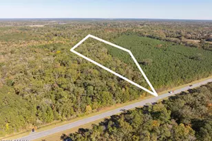 239 Trask Pkwy, Yemassee, SC 29945 - Photo 1