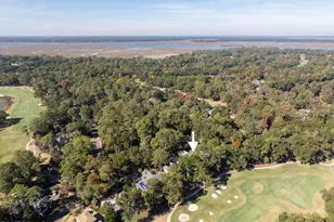 15 Doe Point, Saint Helena Island, SC 29920 - Photo 89