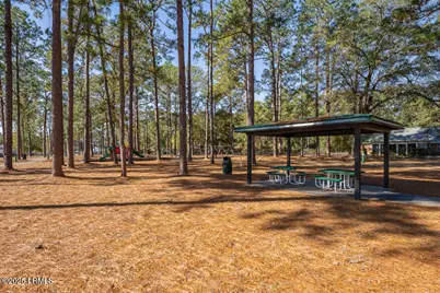 411 Willard Street, Hampton, SC 29924 - Photo 43