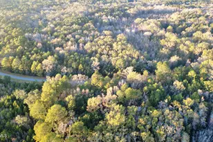 80 Big Estates Cir, Yemassee, SC 29945 - Photo 1