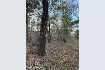 80 Big Estates Circle, Yemassee, SC 29945 - Photo 7