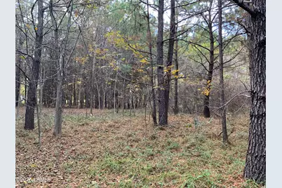 37 Pearl Harbor Drive, Saint Helena Island, SC 29920 - Photo 3