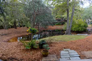 5 Gumtree, Hilton Head Island, SC 29926 - Photo 49