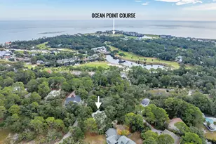 434 Widgeon Cove, Ladys Island, SC 29920 - Photo 59