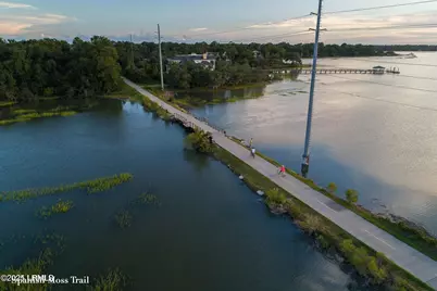 415 Joshua Court, Beaufort, SC 29902 - Photo 47