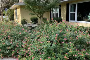 11 Egret Dr, Beaufort, SC 29907 - Photo 37