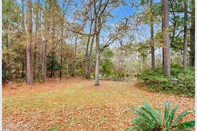 11 Egret Drive, Beaufort, SC 29907 - Photo 35