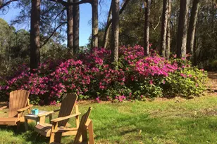 11 Egret Dr, Beaufort, SC 29907 - Photo 39