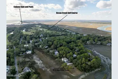813 Speckled Trout Road, Ladys Island, SC 29920 - Photo 13