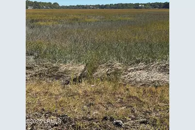 813 Speckled Trout Road, Ladys Island, SC 29920 - Photo 23