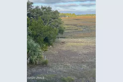 813 Speckled Trout Road, Ladys Island, SC 29920 - Photo 27