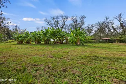 196 Country Craft Road, Estill, SC 29918 - Photo 35