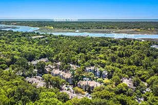 380 Marshland Rd, Hilton Head, SC 29926 - Photo 49