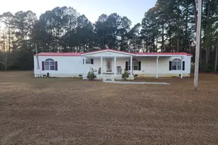 1114 Furman Nixville Pkwy, Estill, SC 29918 - Photo 1