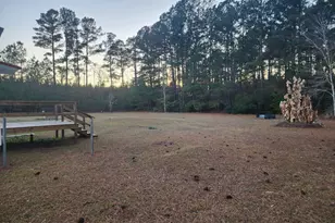 1114 Furman Nixville Pkwy, Estill, SC 29918 - Photo 23