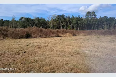 308 Ricochet Lane, Ruffin, SC 29475 - Photo 29