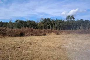 308 Ricochet Ln, Ruffin, SC 29475 - Photo 29