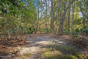 1 Wild Magnolia Ln, Okatie, SC 29909 - Photo 39