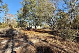 103 Beavers Rd, Ridgeland, SC 29936 - Photo 3