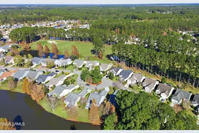 26 Lacebark Lane, Bluffton, SC 29909 - Photo 59