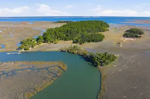 0 Rose Island, Port Royal, SC 29909 - Photo 1