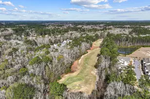 38 Sapelo Island Ln, Bluffton, SC 29910 - Photo 65