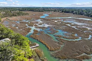 24 Oak Pond Passage, Beaufort, SC 29906 - Photo 59