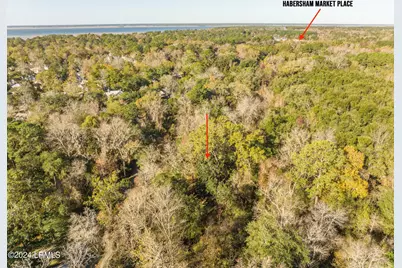 33 Mount Grace, Beaufort, SC 29906 - Photo 11