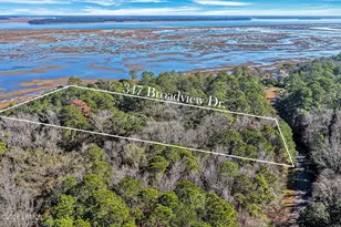 347 Broadview Dr, Ridgeland, SC 29936 - Photo 89