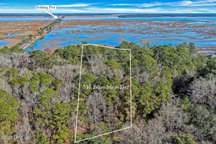 347 Broadview Dr, Ridgeland, SC 29936 - Photo 87