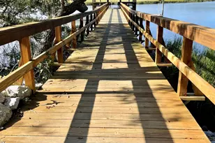 347 Broadview Dr, Ridgeland, SC 29936 - Photo 95