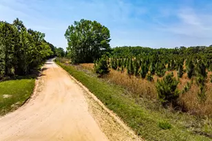 164 Paige Point Bluff, Seabrook, SC 29940 - Photo 29