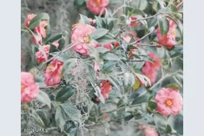 164 Paige Point Bluff, Seabrook, SC 29940 - Photo 27